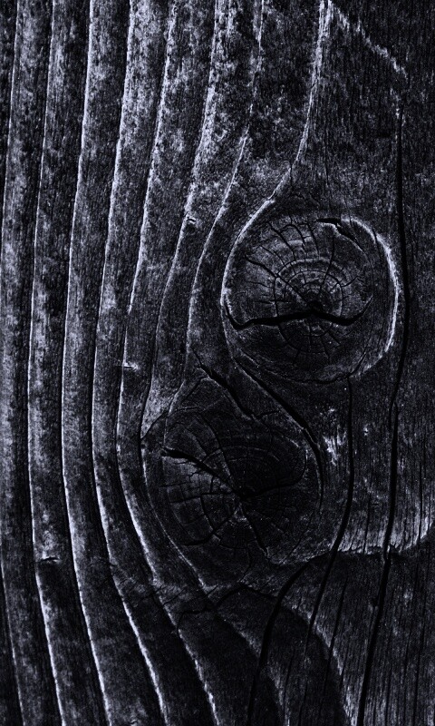 Сучковатое дерево обои