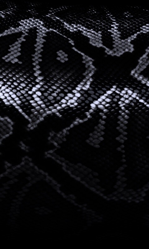 Змеиная кожа обои