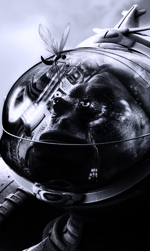 Инопланетянин и стрекоза обои