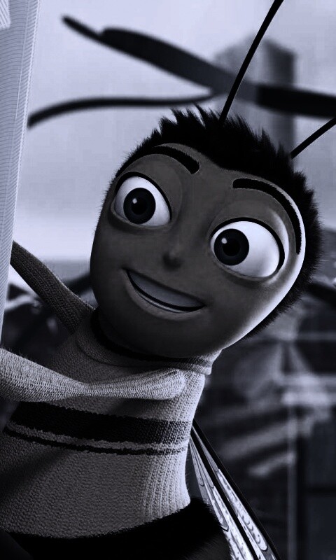 Бимуви обои