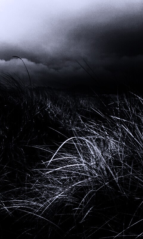 В ожидании шторма обои