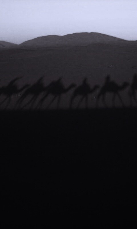 Караван обои