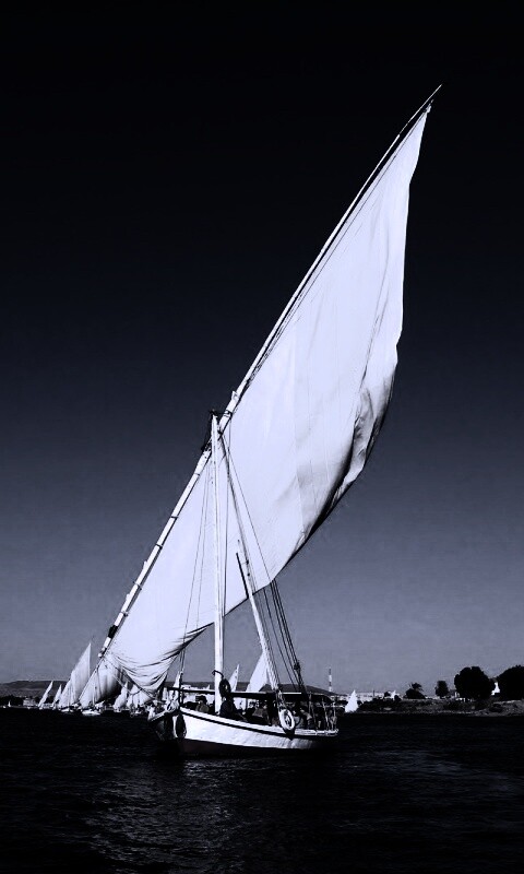 Под парусами обои