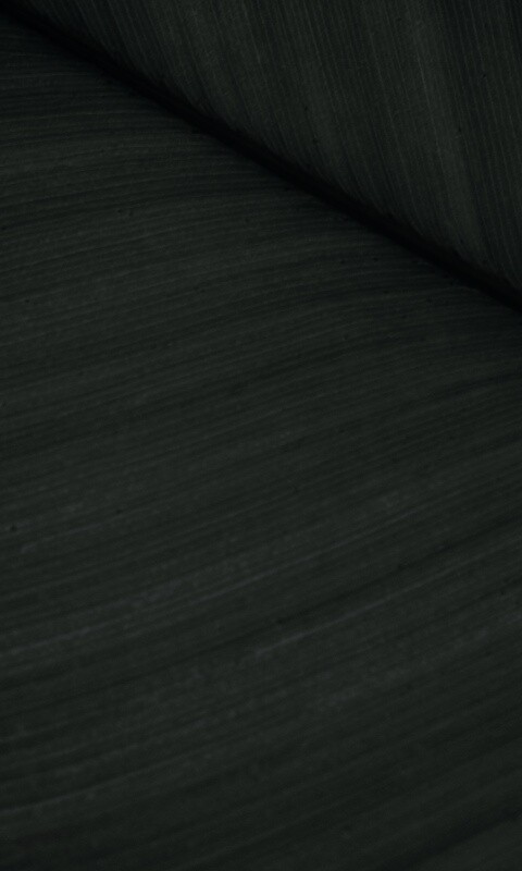 Зеленый лист обои