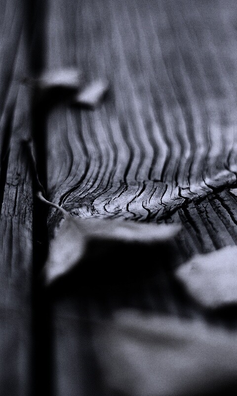 Листья на дощатом полу обои