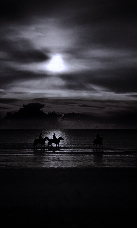 Наездники на закате обои