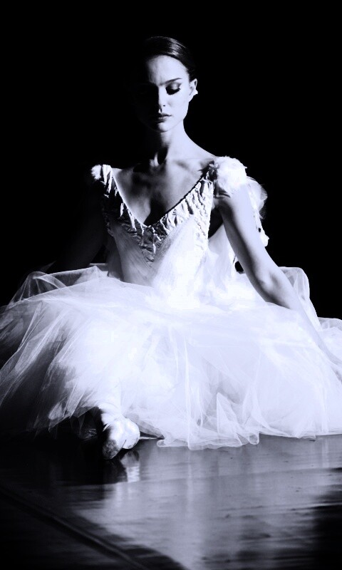 Черный лебедь обои