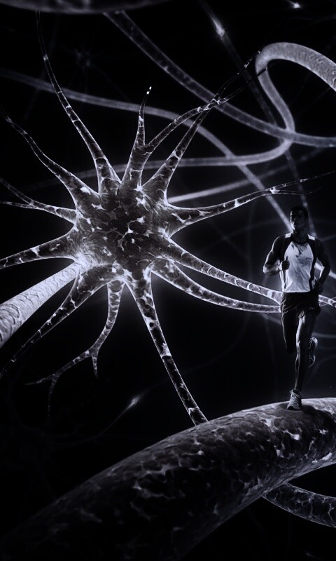 Бег мыслей обои