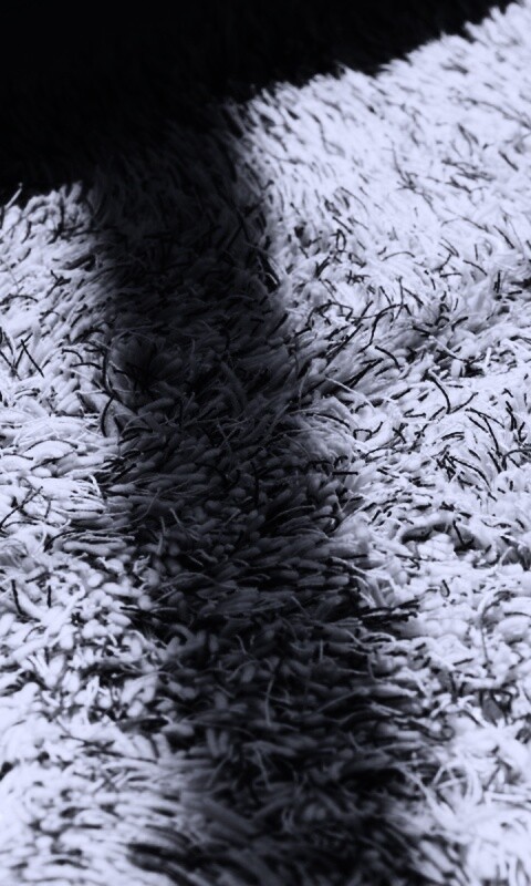 Книга на полу обои