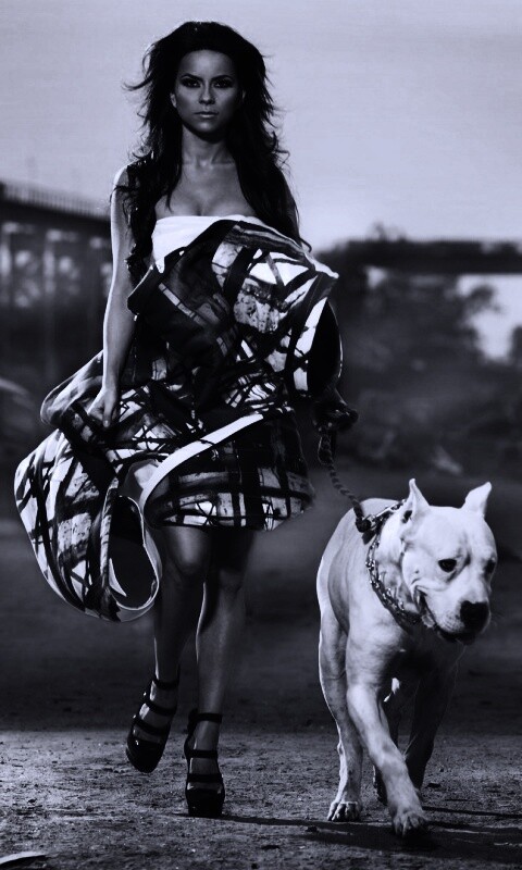 Девушка с питбулем обои