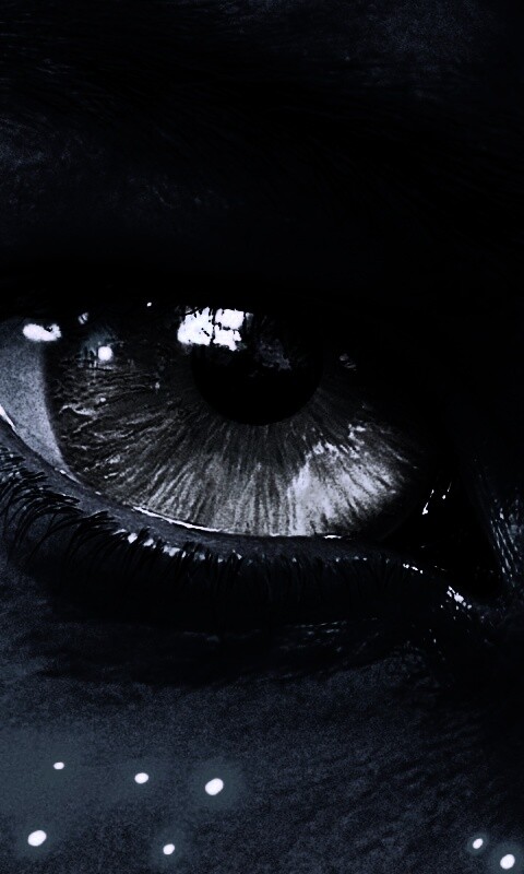 Смотрит прямо в душу обои