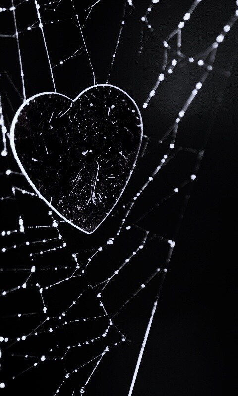 Запутавшаяся любовь.. обои