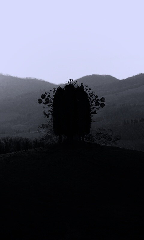 Деревья на холме обои