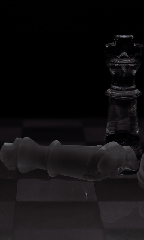 Две шахматных фигуры обои