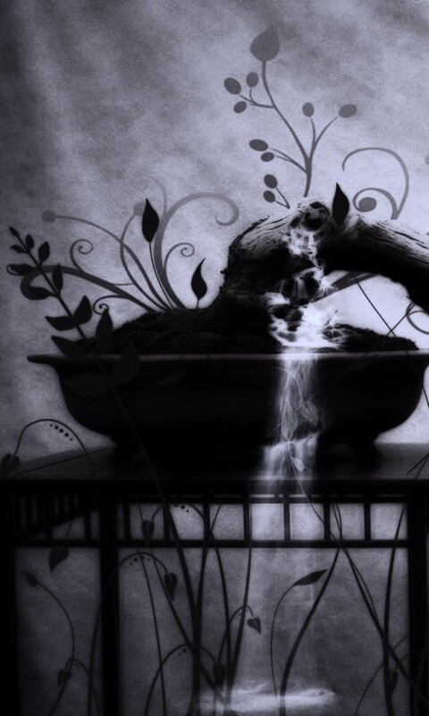 Карликовое дерево обои