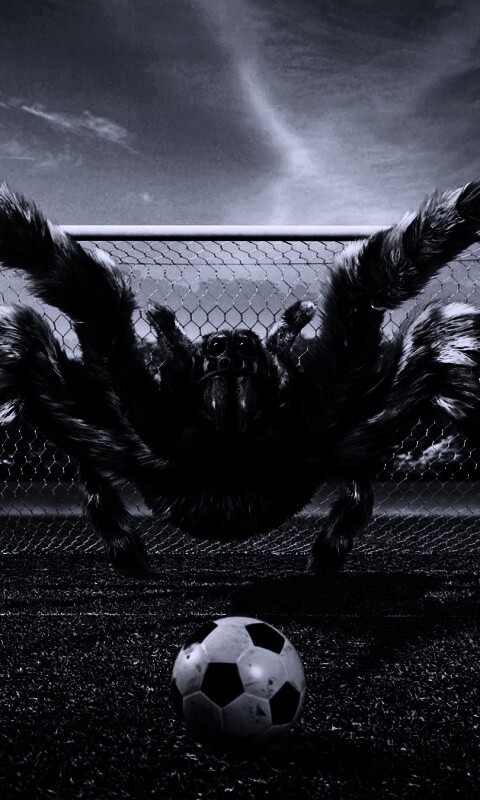 Вратарь обои