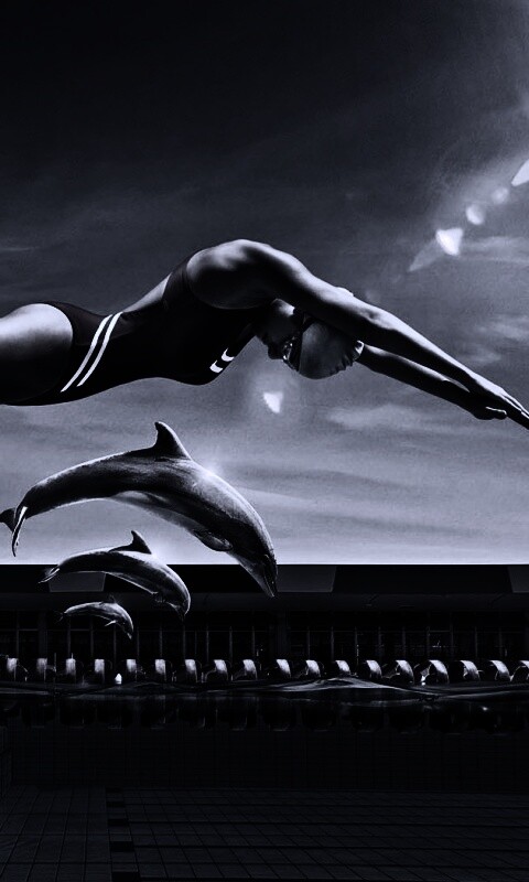 Соревнование обои