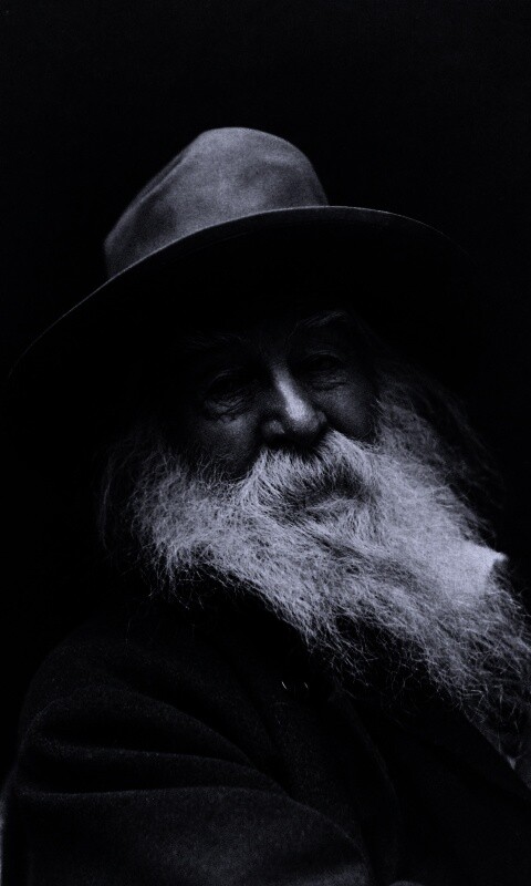 Уолт Уитмен обои