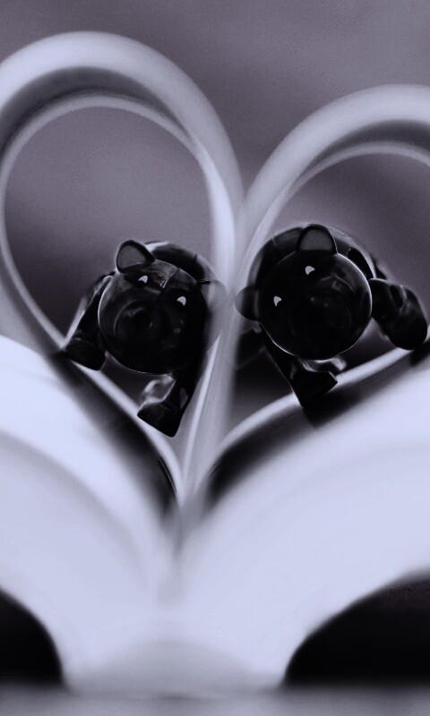 Фигурки мишек в книге обои