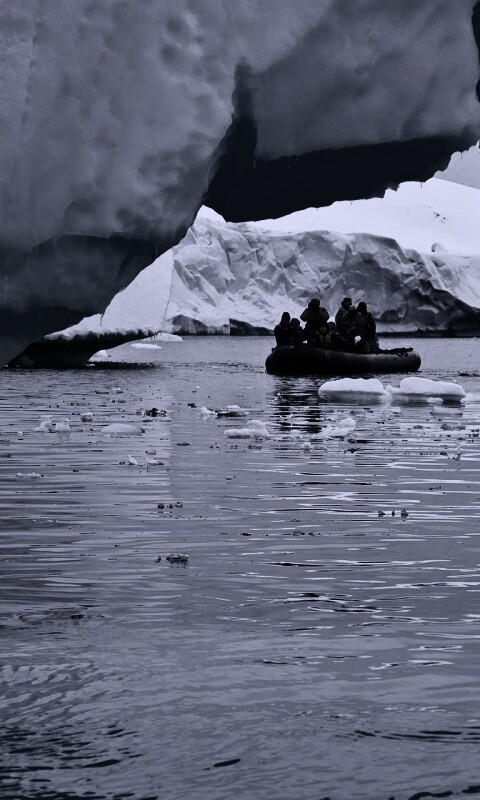 Антарктида обои