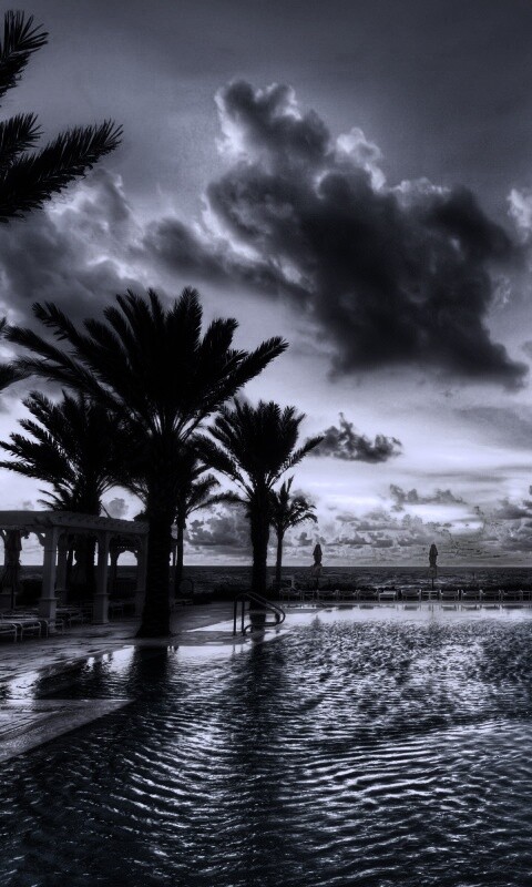 Бассейн обои