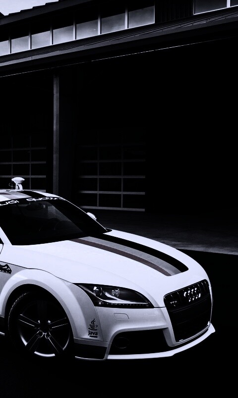 Audi Quattro обои