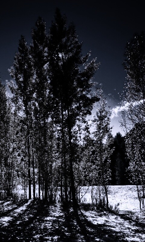 Осень в Новой Зеландии обои