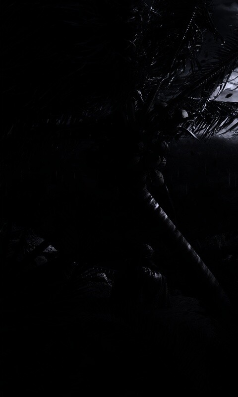 Вид на джунгли обои