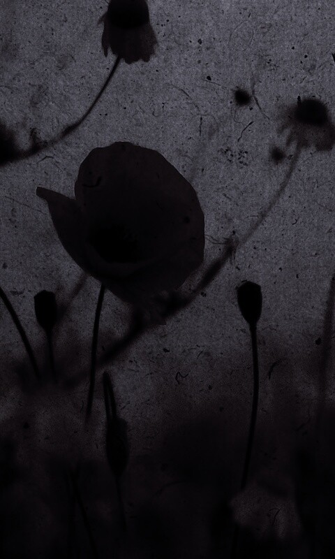 Кровавые цветы в стиле ретро обои