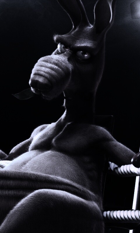 Кенгуру-боксер на ринге обои