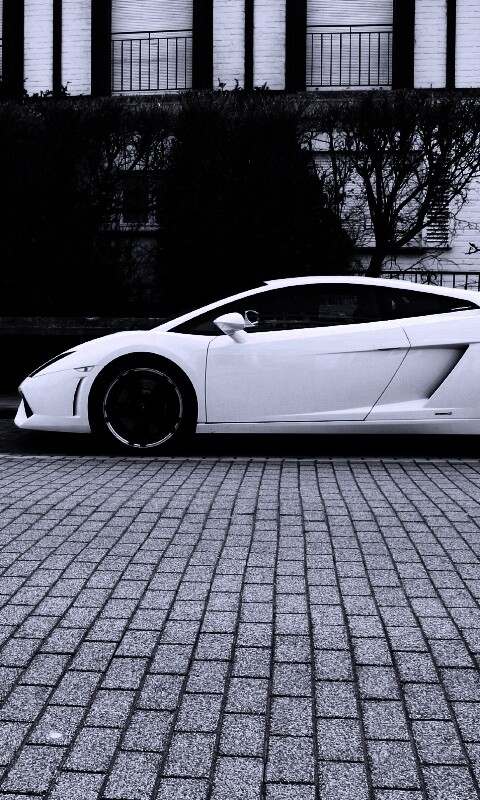 Белый Lamborghini обои