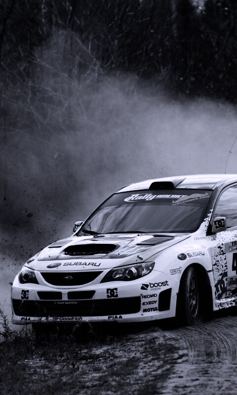 Раллийная гонка обои