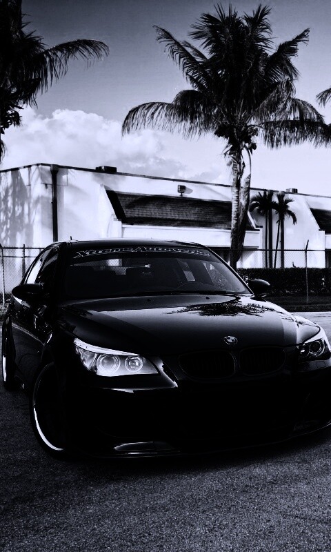 Две БМВ обои