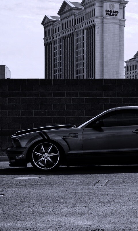 Ford Mustang обои