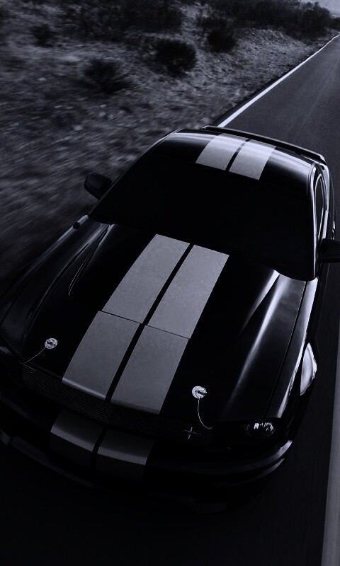 Ford Mustang  с гоночными полосками обои