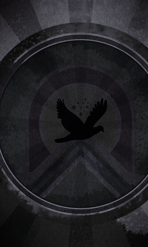 Голубь мира обои