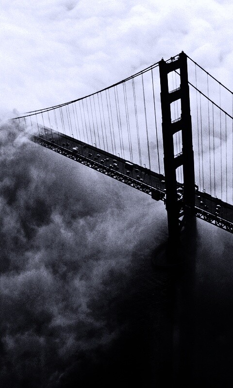 Мост Золотые ворота утопает в тумане обои