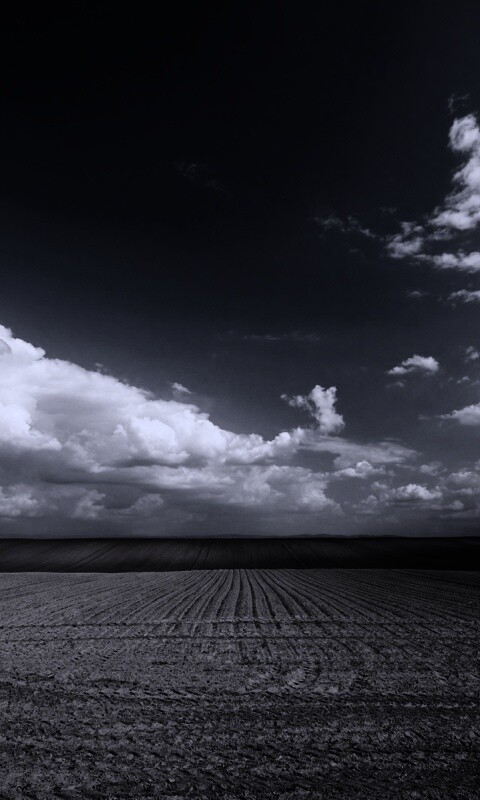 Незасеянное поле обои