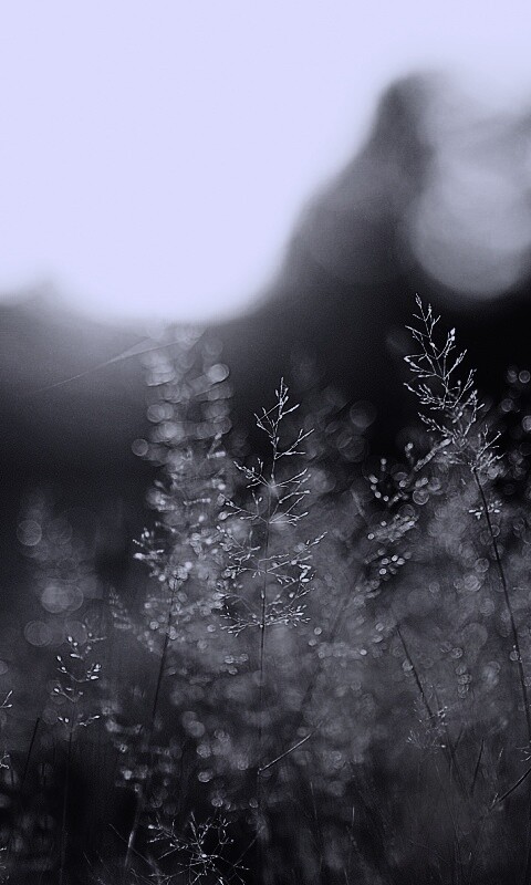 Посмотри на этот мир обои