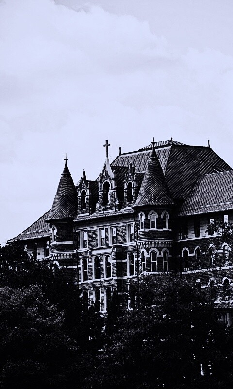 Колледж обои