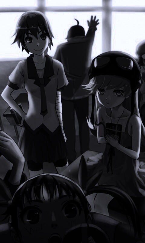 Девушки из Bakemonogatari обои