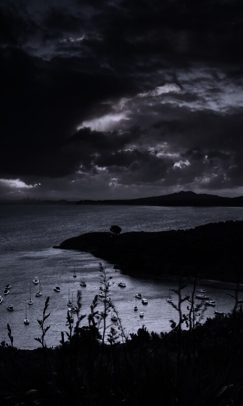 Waiheke Island, New Zealand обои