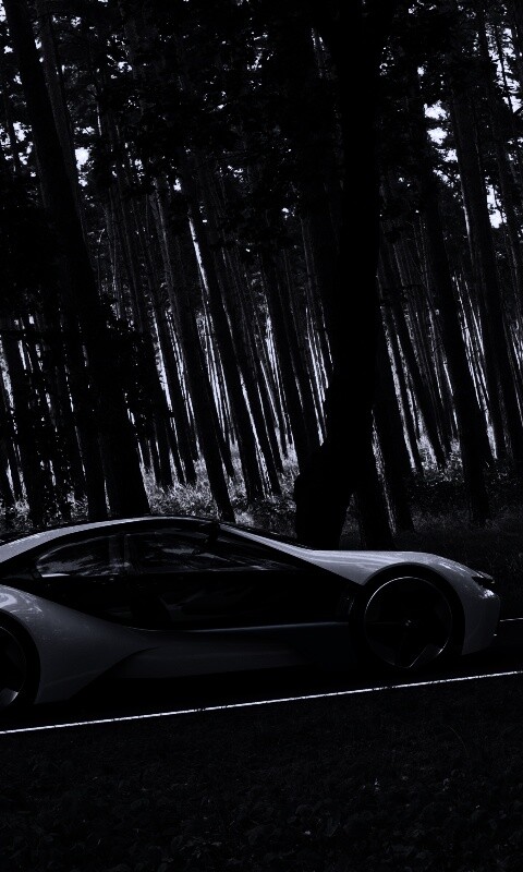 Спорткар BMW на лесной дороге обои