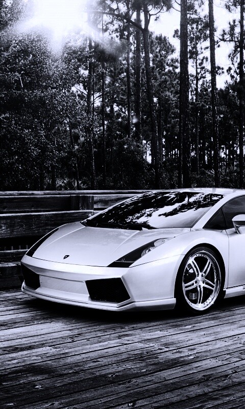 Ламбоджини на мосту в лесу обои