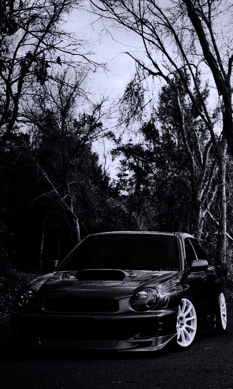 Субару Импреза на лесной дороге обои