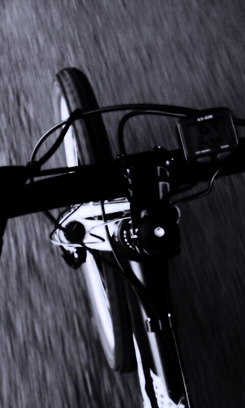 Катание на велосипеде обои