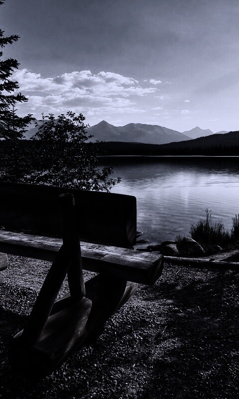 Деревянная скамья на берегу озера обои