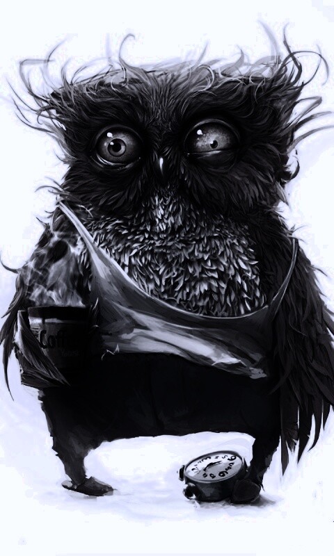 Не спящая сова обои