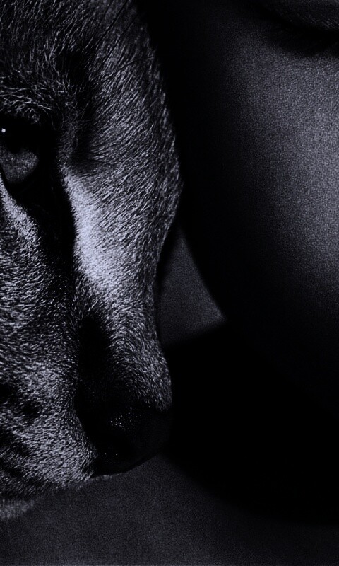 Человек и природа обои