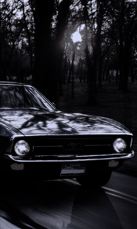 Мустанг обои